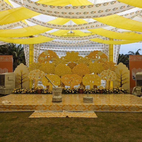 Haldi Ceremony Fireworks